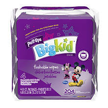 Huggies Pull-Ups Flushable Moist Wipe Refill - 204 Count