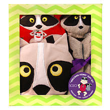 SOZO Boys 3 Piece Raccoon Welcome Home Gift Set with Raglan Bodysuit, 3D Raccoon Hat, and Security Blanket- 0-3 Months