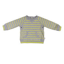 Truly Scrumptious Boys Light Green/Grey Striped Raglan Kangaroo Pocket Sweatshirt- Infant/Toddler